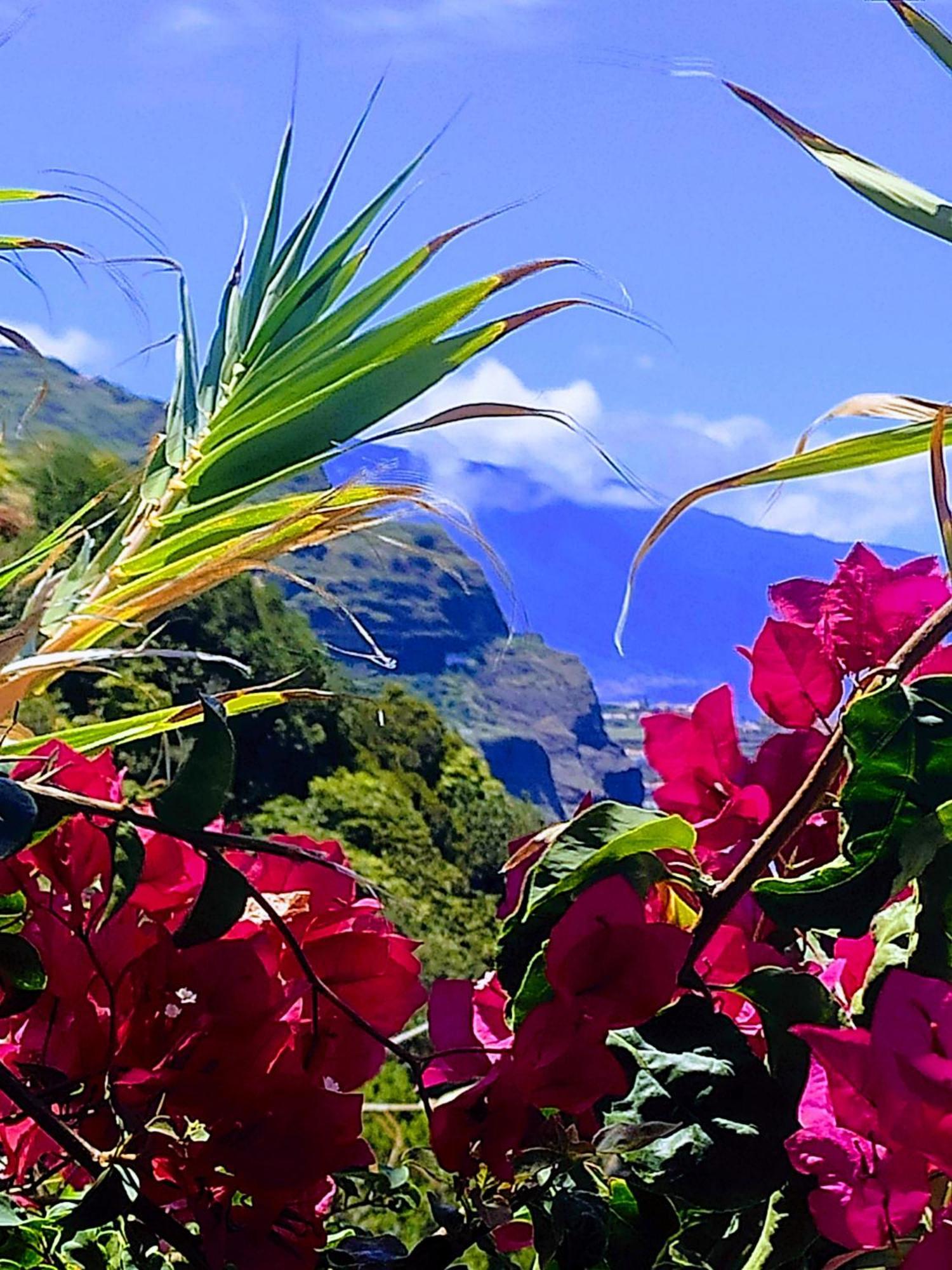 Bluegreen Arco da Calheta  Buitenkant foto